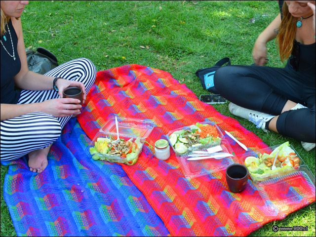 Opciones de Delivery para Pic nic con Del Jardín - Del Jardn