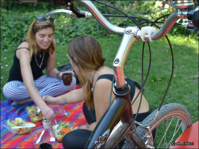 Un break Saludable con Del Jardín - Del Jardn