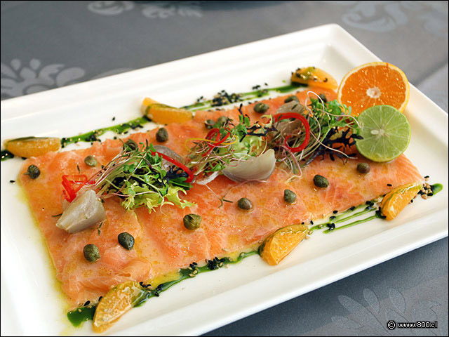 Carpaccio de salmn