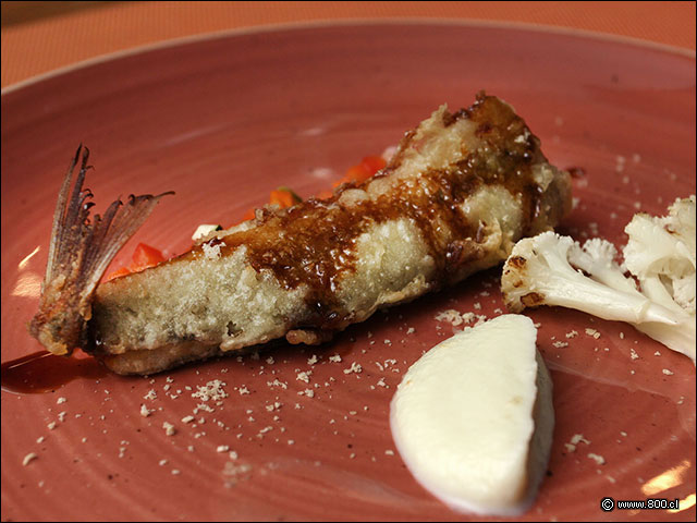 Pejerey en tempura con coliflor - Catae - Renaissance