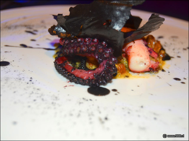Pulpo a Las Brasas con cremoso de cochayuyo sepia y papel de arroz en Casa Esmeralda - Casa Esmeralda