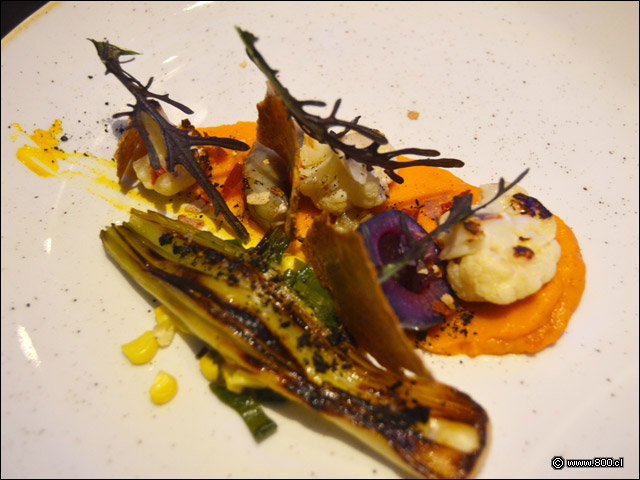 Vegetales texturizados    - Casa Esmeralda