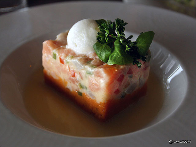 Trtaro de Salmn con chutney de Maracuy - Vista Santiago Restaurante (Cerro San Cristbal) Ex Nueva Enotk