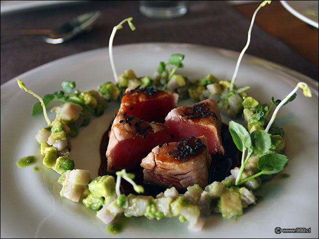 Dados de Atn sellado con reduccin de balsmico y ensaladilla de palta y papa chilota - Vista Santiago Restaurante (Cerro San Cristbal) Ex Nueva Enotk