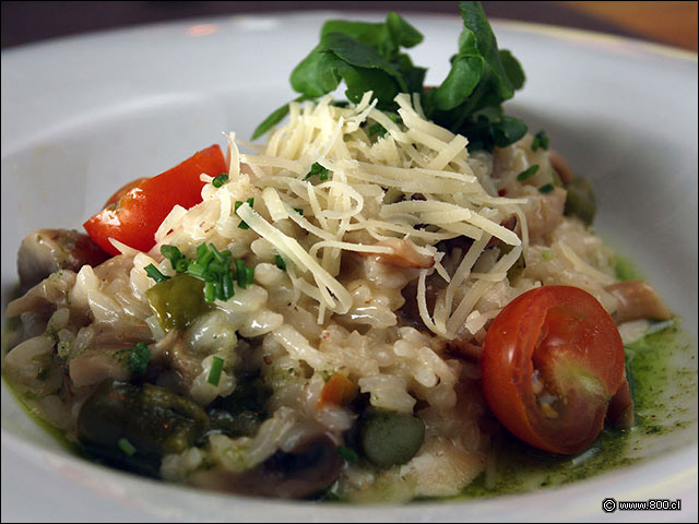 Risotto de vegetales en Vista Santiago - Vista Santiago Restaurante (Cerro San Cristbal) Ex Nueva Enotk