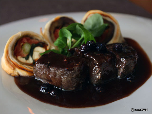 Filete de Ciervo en reduccin de frutos rojos - Vista Santiago Restaurante (Cerro San Cristbal) Ex Nueva Enotk