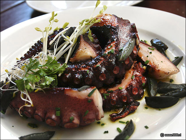 Pulpo salteado en parrilla en El Ancla de Providencia - El Ancla - Providencia