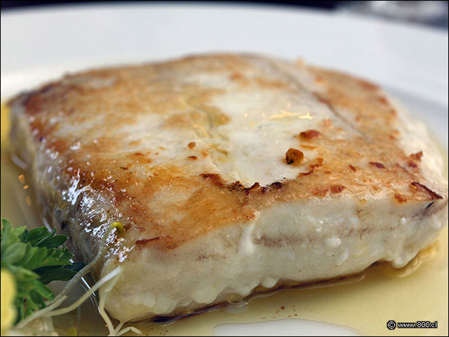 Filete de Corvina servido con salsa de Mantequilla en El Ancla Providencia - El Ancla - Providencia