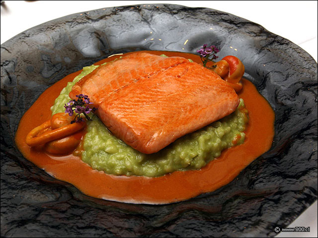 Arroz cremoso con salmn y mariscos en bisque