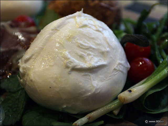 Mozzarella di Bufala DOP - Pomeriggio Bistr