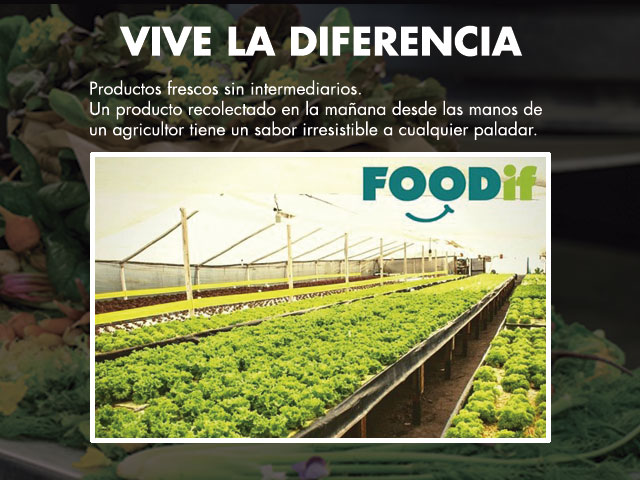  - Presentacin Foodif