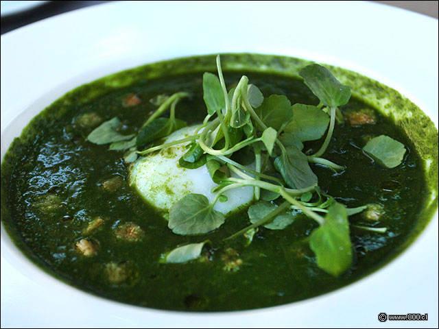 Sopa de espinacas con crutones y huevo pochado