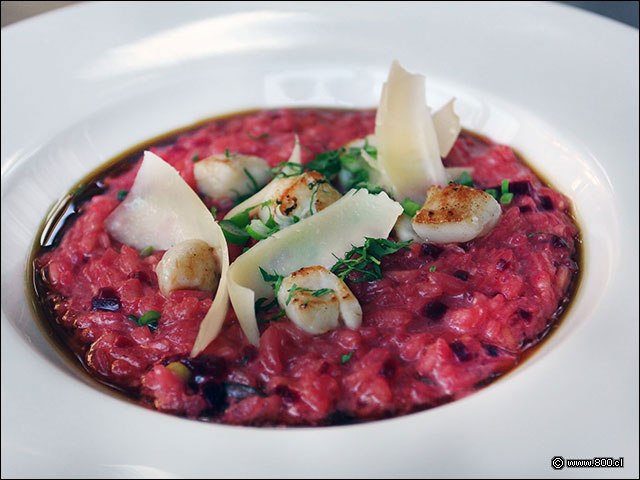 Risotto de Beterragas con ostiones