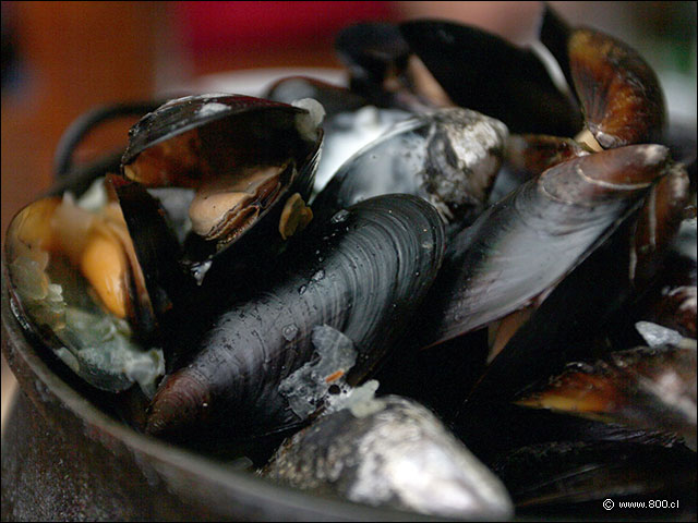 Marmita con Choritos al Vapor - Normandie Restaurant