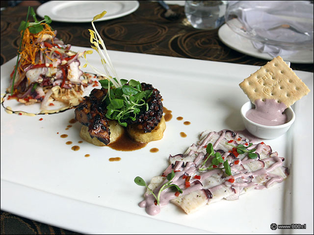 Trilogia de pulpo en Rayú