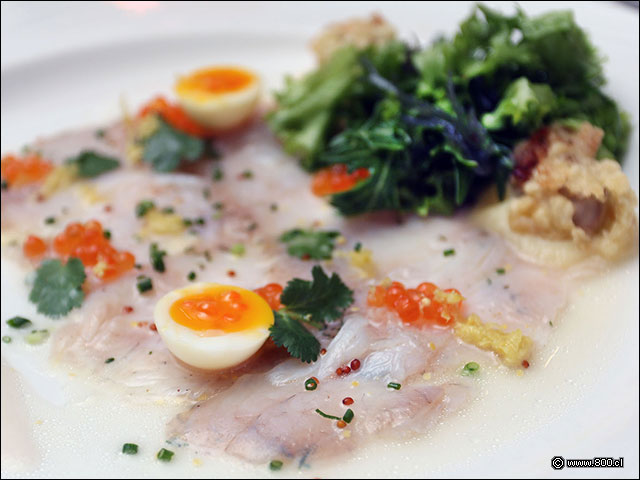 Ceviche tiradito de lenguado - Bristol - Hotel Plaza San Francisco