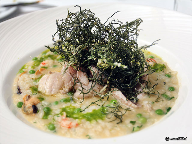 Risotto del mar - Bristol - Hotel Plaza San Francisco