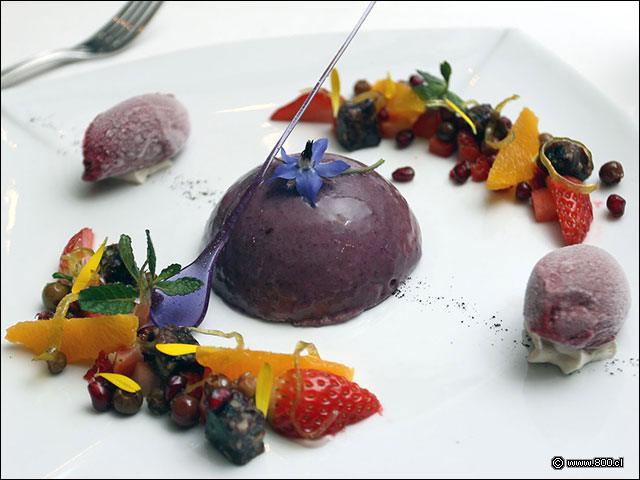 Panacotta de berries - Bristol - Hotel Plaza San Francisco