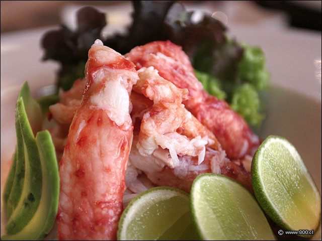 Abundante porci�n de Centolla magall�nica fresca en el restaurante Carneros - Carneros