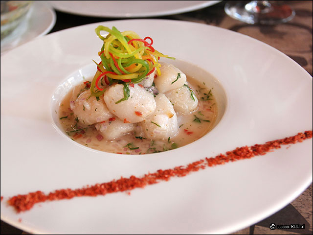Notable cebiche de Ostiones en Carneros - Carneros