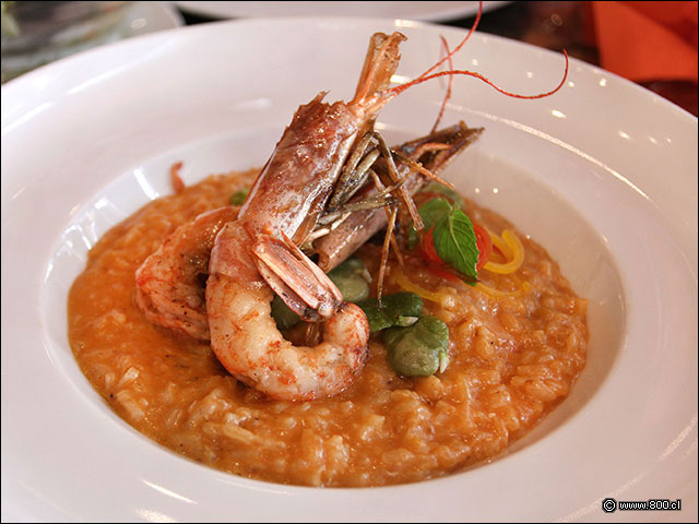 Sabroso y potente Risotto de Camarones del Atl�ntico - Carneros