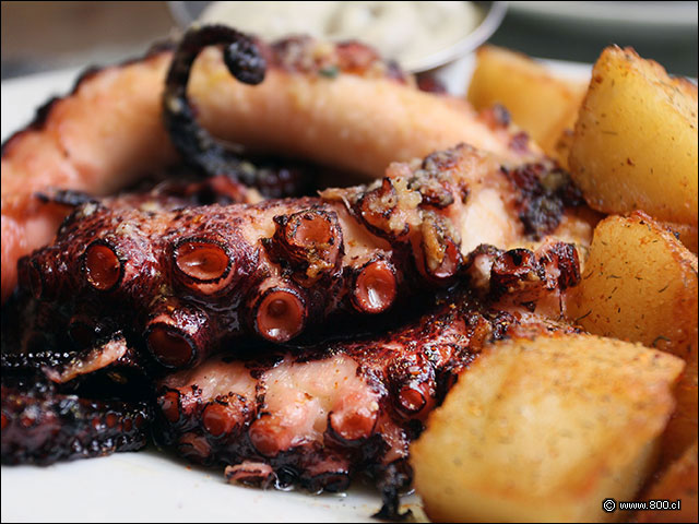 Crocante tentculo de pulpo en el restaurante Don Gaviota de Recoleta - Don Gaviota El Roble (Recoleta)