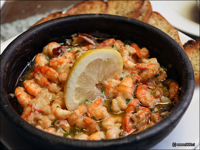 Gambas al pil pil - Don Gaviota El Roble (Recoleta)