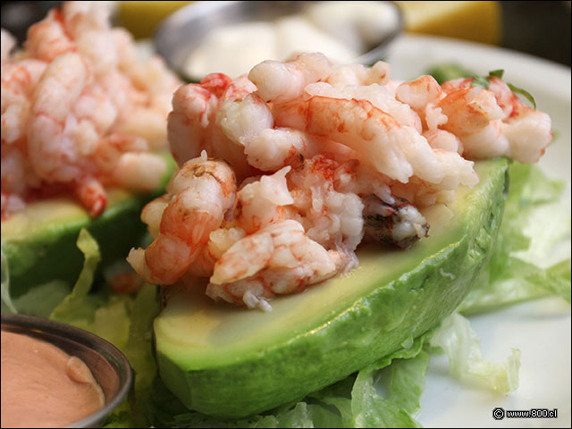 Palta rellena de gambas chilenas - Don Gaviota El Roble (Recoleta)