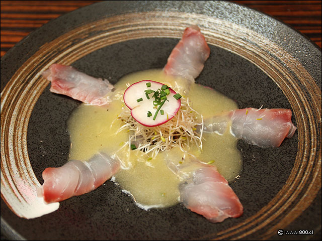 Shiro uzusukuri de corvina  - Matsuri