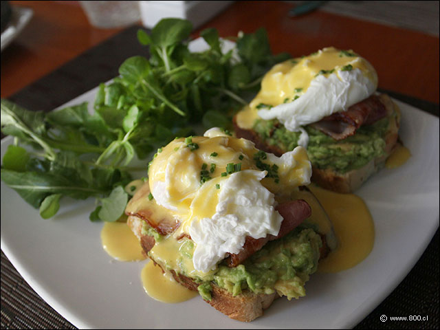 Huevos benedictinos con palta y tocino