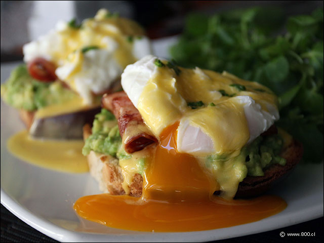 Los cremosos Huevos Benedictinos con palta y tocino en Caf Tastiere