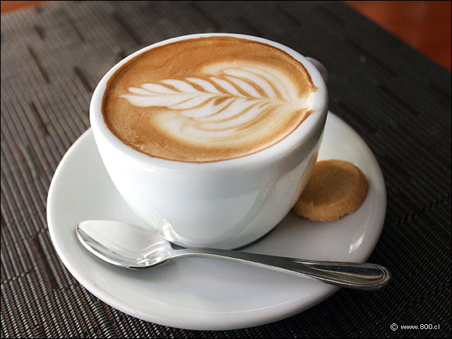 Caf Cortado
