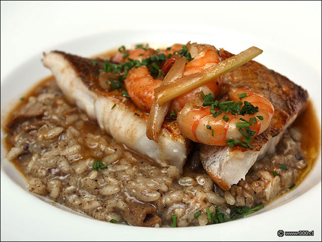 Merluza austral sobre Risotto Funghi Porcini con aceite de trufa negra