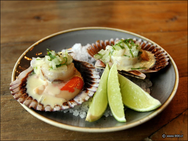 Tapa del D�a, ostiones con salsa c�trica - Gracia Tapas & Bar