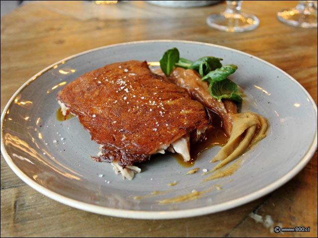 Trozo de cerdo de piel crocante acompa�ado de pur� de membrillos en Gracia Restobar - Gracia Tapas & Bar