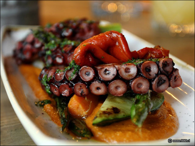 Un pulpo blando y sabroso montado sobre vegetales al dente, toso sobre una capa de salsa romescu de leves toques ahumados - Gracia Tapas & Bar