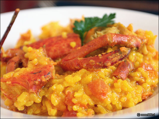 Arroz cocinado con Bogavante, un sabroso crust�ceo espa�ol - Formentera