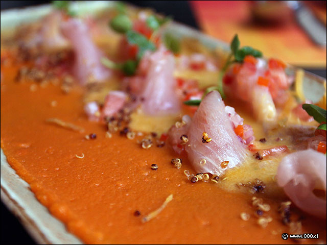 Cortes de corvina con salsa de camote en el Tiradito Sunset de La Mar Santiago - La Mar (Cebichera)