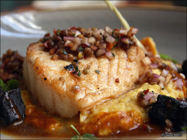 Congrio dorado con sellado perfecto servido con dip de lentejas y cebolla - La Mar Cebichera