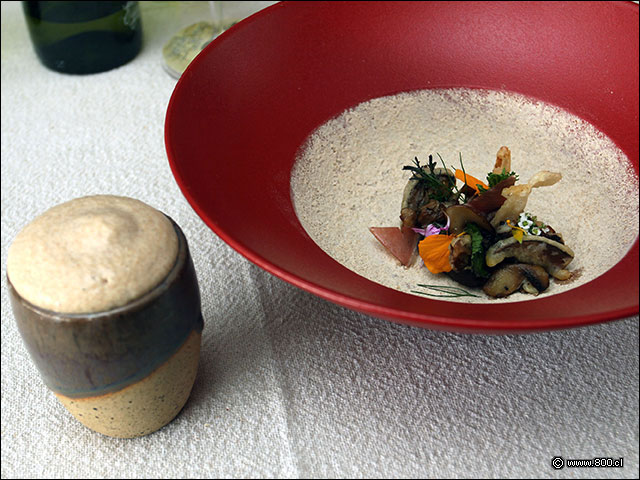 Sabrosa y bastante �nica la Crema de Champi�ones de La Misi�n - La Misi�n