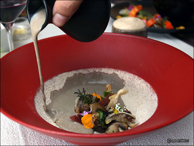 El servi�o de la Crema de Hongos de La Misi�n - La Misi�n