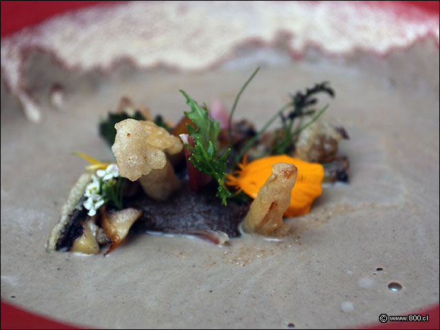 La Sopa de Hongos con polvo de shitake de La MIsi�n - La Misi�n