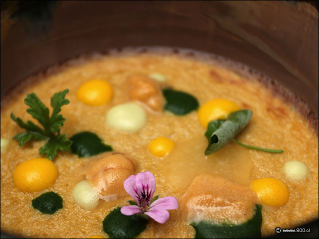 Textura sedosa y un elegante sabor a mariscos en esta Royal de Erizos de La Misi�n - La Misi�n