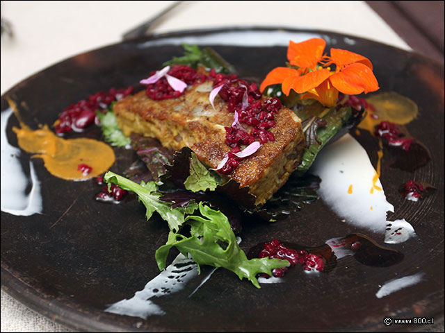 Ensalada del d�a - La Misi�n
