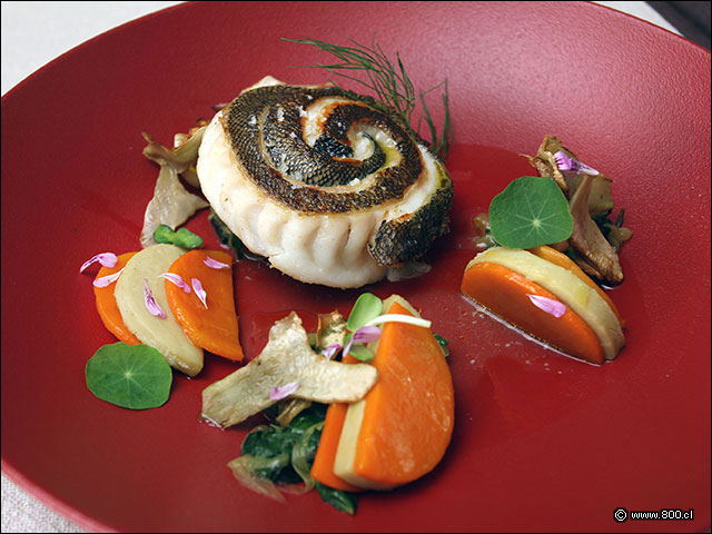 Espiral de Rollizo grillado - La Misi�n