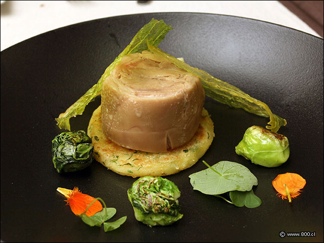 Timbal de Cerdo Lech�n de suave sabor y textura - La Misi�n