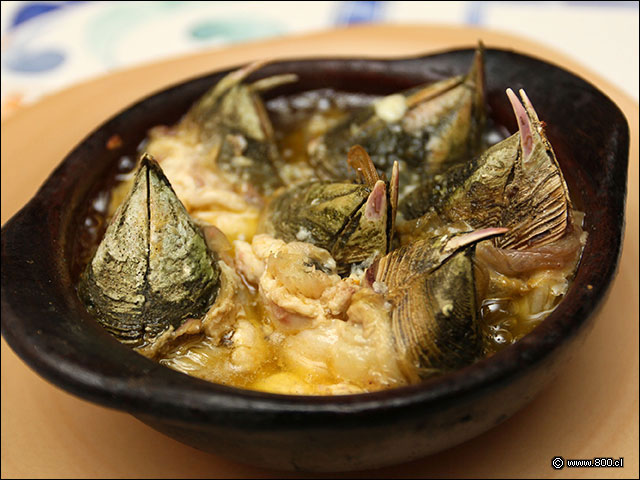 Fabulosos Picorocos a la mantequilla - La Tasca de Altamar