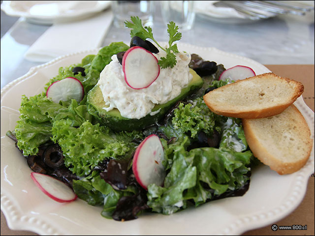 Un plato del recuerdo que vuelve en gloria y majestad esta Palta Reina - Dolce & Salato