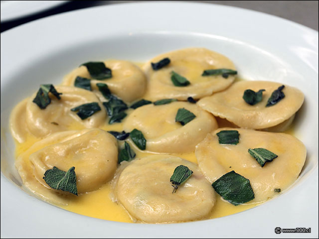 Sorrentinos Alla Caprese - Le Due Torri - BordeRío