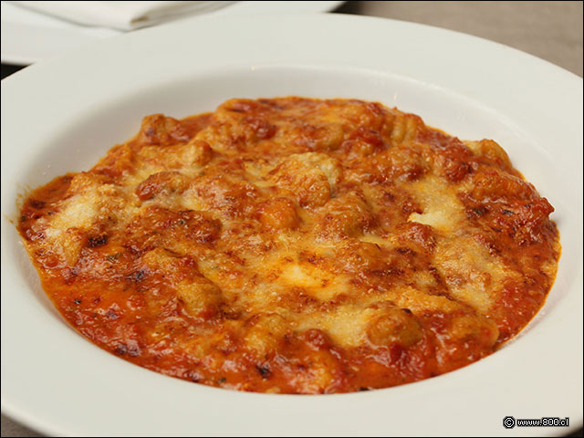 Giorgione, oquis gratinados con salsa boloesa